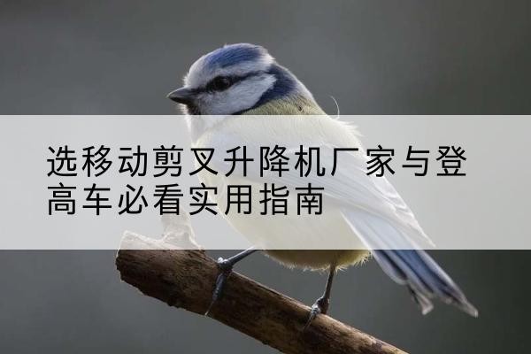 黄石电动升降机厂家-选移动剪叉升降机厂家与登高车必看实用指南
