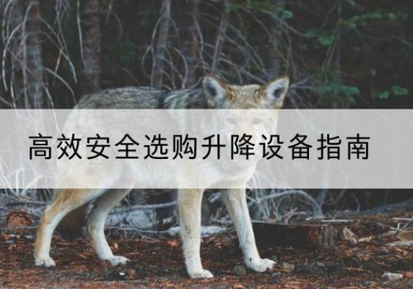 黄石升降货梯厂家推荐-*安全选购升降设备指南