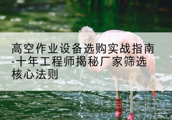 黄石剪叉式升降机厂家-高空作业设备选购实战指南-十年工程师揭秘厂家筛选核心法则